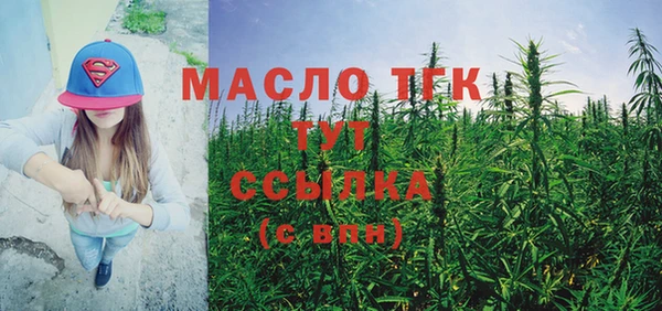 индика Вяземский