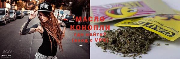 индика Вяземский