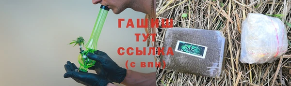 индика Вяземский