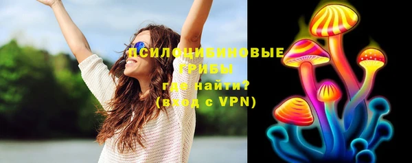 соль ск Вязники
