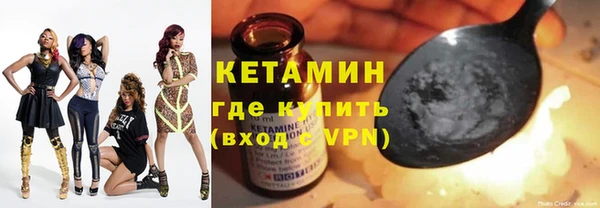 индика Вяземский