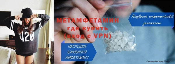 индика Вяземский