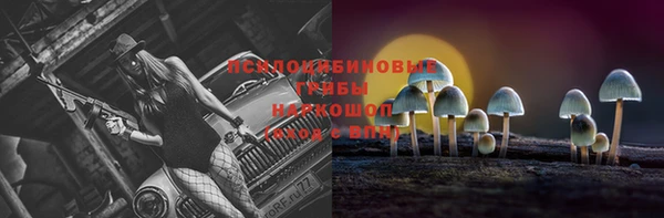 индика Вяземский