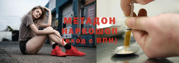 индика Вяземский