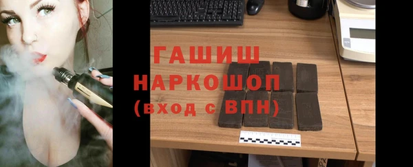 индика Вяземский