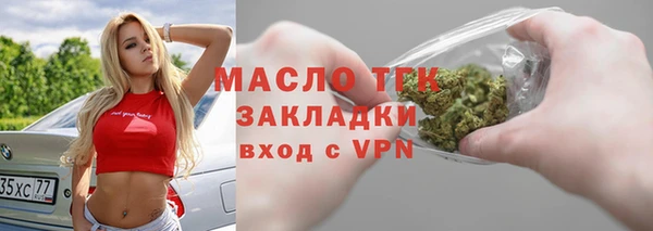 индика Вяземский