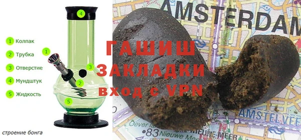 индика Вяземский