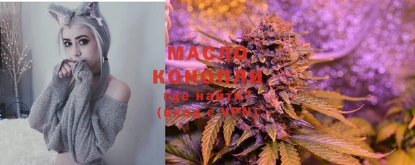индика Вяземский
