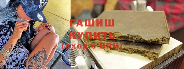 индика Вяземский