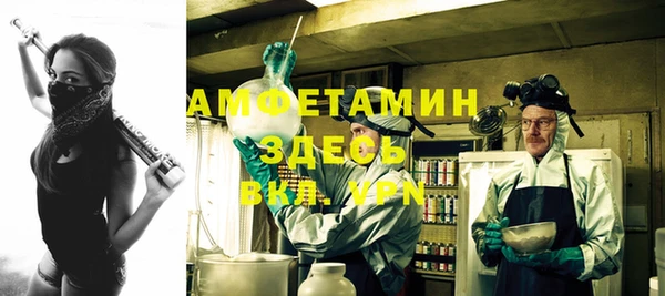 индика Вяземский