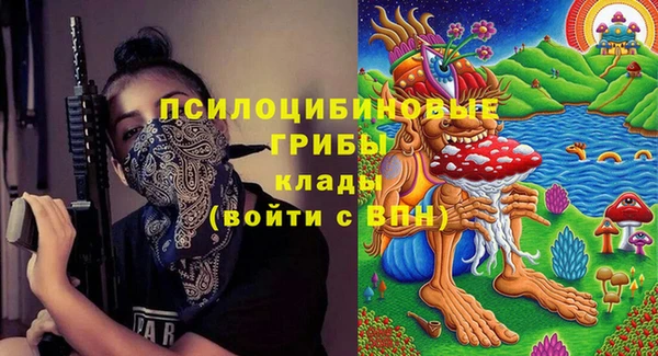 индика Вяземский