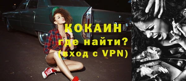 индика Вяземский