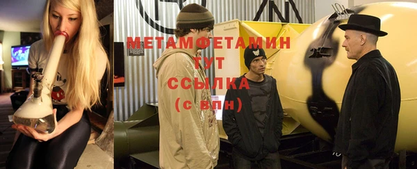индика Вяземский