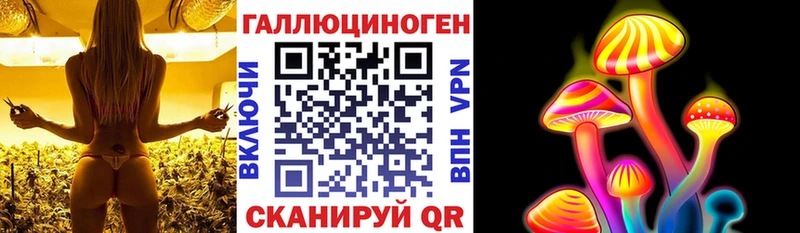 Галлюциногенные грибы Cubensis  Купить закладки  Волгодонск 
