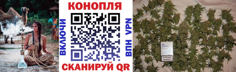 МАРИХУАНА сатива  Купить где  Волгодонск 